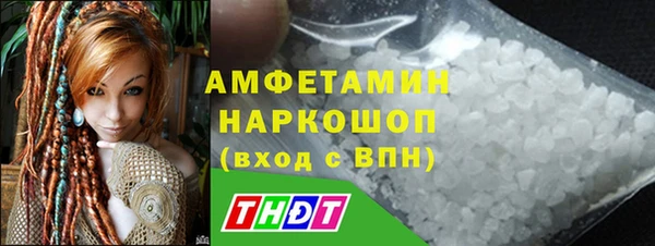 сатива Лабытнанги